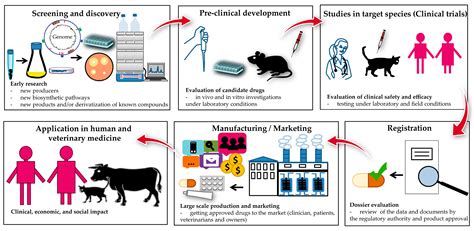 Antibiotics | Free Full-Text | Actinomycete-Derived Polyketides as a ...