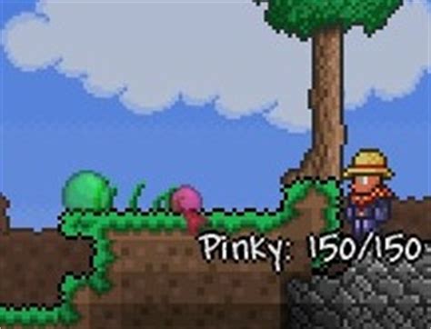 Pinky - Terraria Wiki