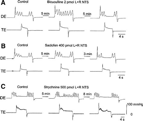 Effects of bicuculline, 2-(OH)-saclofen, and strychnine on distal... | Download Scientific Diagram