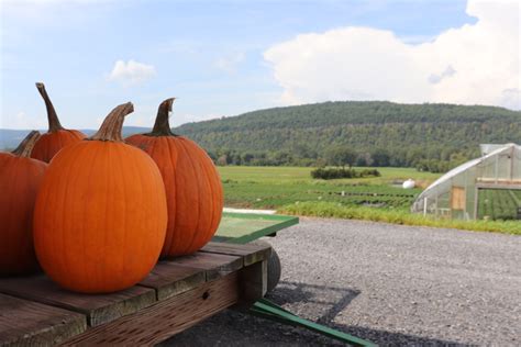 The Carrot Barn at Schoharie Valley Farms - Visit Schoharie County