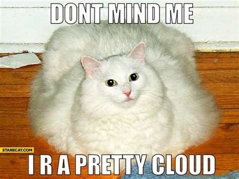 Don’t mind me I are a pretty cloud | StareCat.com