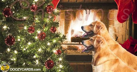 Golden Retriever Christmas Cards | Animated Xmas Cards