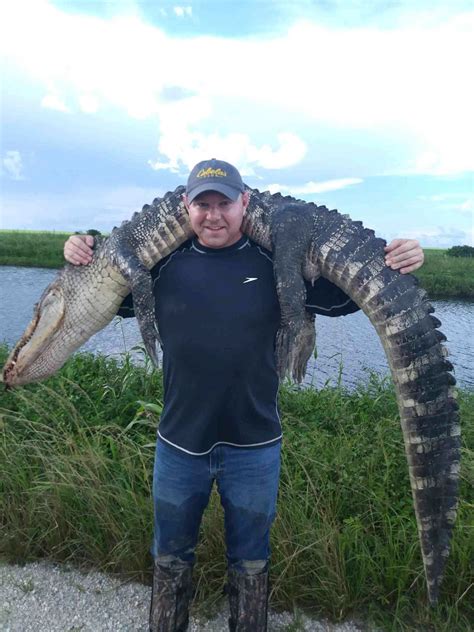 Gator Hunting - FL - Trips4Trade