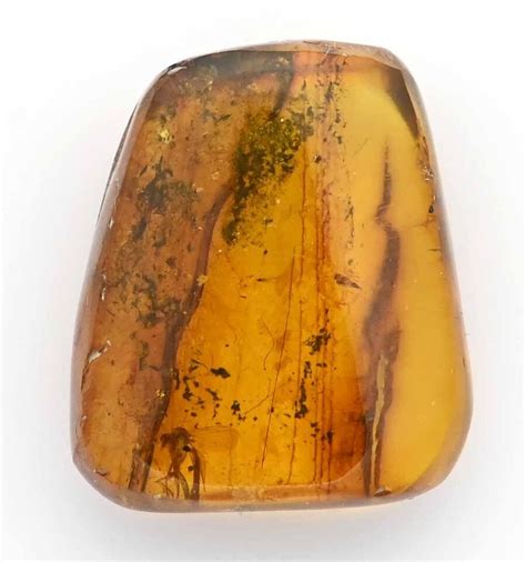 Detailed Nematocera (Fungus Gnat), Fossil inclusion in Burmese Amber | eBay