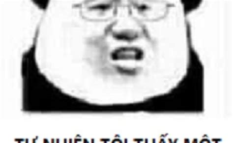 Tu Nhien Toi Thay Mot Hien Tuong La Baozou Manhua Meme Meme Gau Truc ...