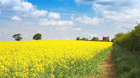 Farm With Field Free Stock Photo - Public Domain Pictures