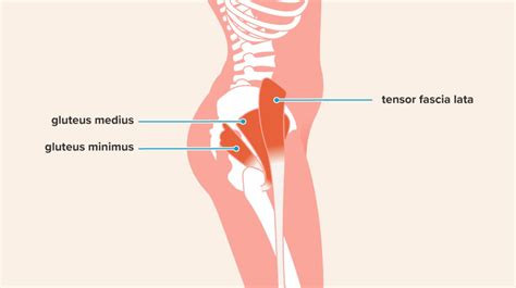 Hip Abduction Exercises: Anatomy, Benefits, Effectiveness