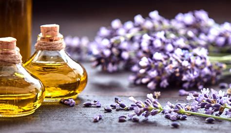 The Benefits of Lavender Oil for Skin - Puristry