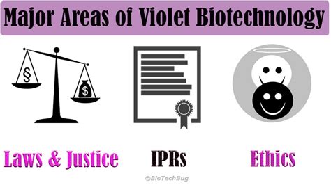 Overview of Violet Biotechnology