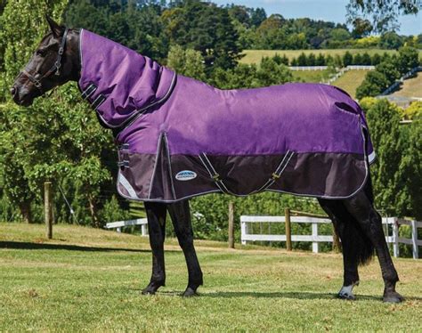 Comfitec Plus Dynamic Medium Detach-a-Neck Horse Blanket Purple/Black ...