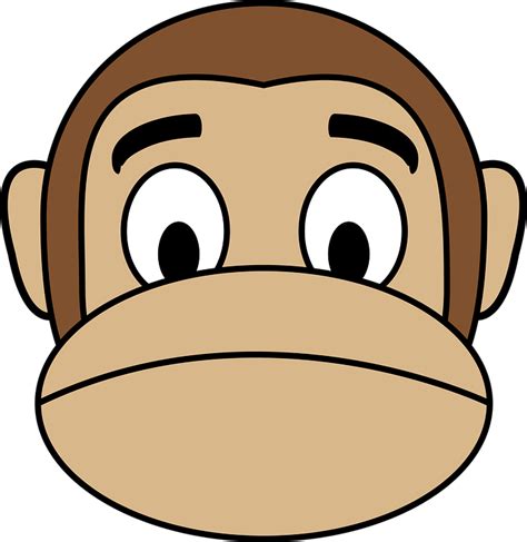 Download Face, Monkey, Sad. Royalty-Free Vector Graphic - Pixabay