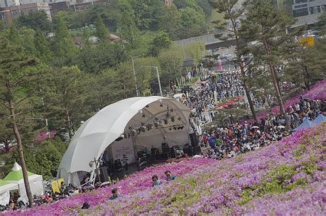 Gunpo Royal Azalea Festival | 책나라군포 철쭉축제 : TRIPPOSE