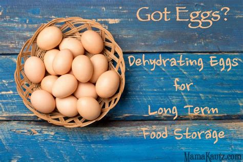 Step by Step Guide for Dehydrating Eggs for Long Term Food Storage