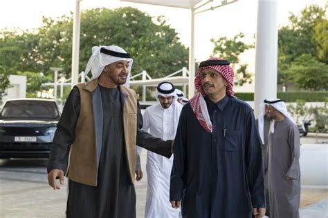 UAE President receives Prime Minister of Qatar