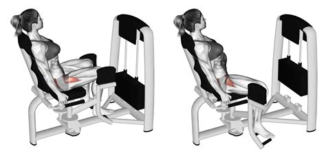 Machine Seated Hip Abduction: Benefits, Muscles Worked, and More - Inspire US