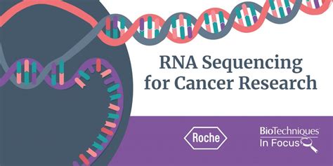 RNA Sequencing Library Preparation And Construction - BioTechniques