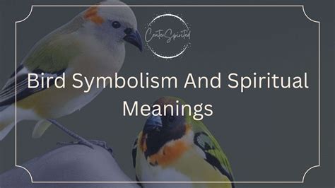 Bird Symbolism And Spiritual Meanings