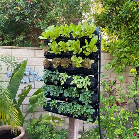 Varden Outdoor Vertical Farming Kit For Edibles And Ornamentals in 2021 | Vertical garden ...