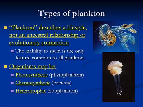 Types of Archaebacteria