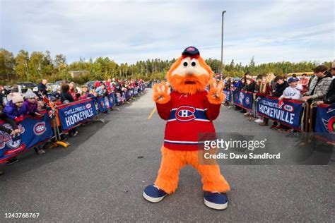 497 Montreal Canadiens Mascot Stock Photos, High-Res Pictures, and ...