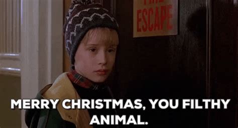 Merry Christmas GIF by filmeditor - Find & Share on GIPHY | Funny christmas movies, Christmas ...