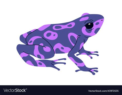 Poison dart frog of purple color exotic amphibian Vector Image