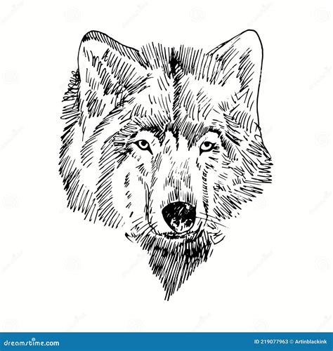 Wolf Muzzle Front View. Ink Black and White Doodle Drawing Stock Vector ...