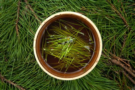 16 Innovative Ways to Use Pine Needles in the Garden - Gardening