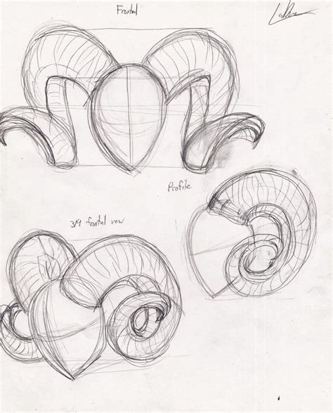 Demon horn reference - Ram horns | Sketches, Sketch book, Art reference