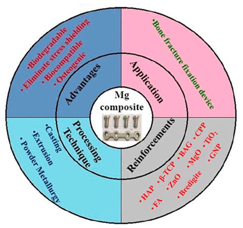 Recent Developments in Magnesium Metal–Matrix Composites for Biomedical Applications: A Review ...