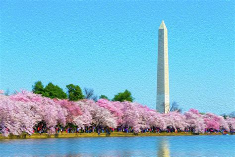 Washington Monument and Cherry Blossoms Oil Rendering Photograph by SR ...