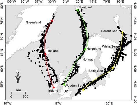 Spring migration route for three barnacle goose populations from their... | Download Scientific ...