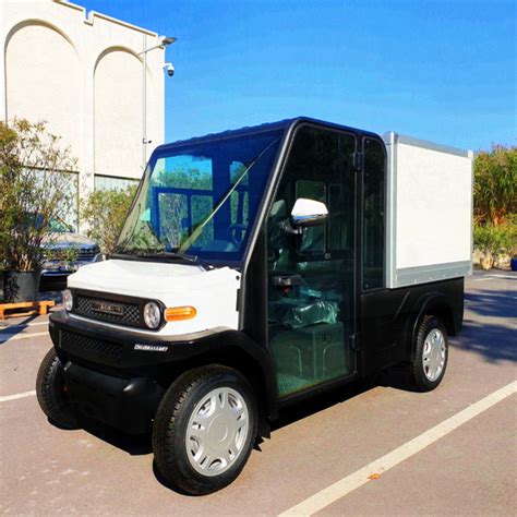 Electric utility vehicle for van goods