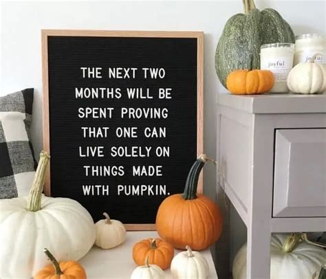 55+ Fall Letter Board Quotes (Cute & Funny Fall Sayings) - DIY With My Guy