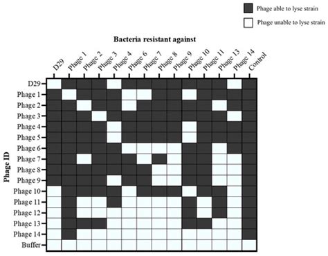 Viruses | Special Issue : Bacteriophage Applications in Animals