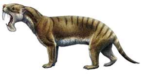 Image - Thylacosmilus lentis.jpg - Dinopedia - Wikia