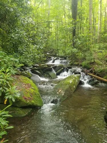 10 Best Trails and Hikes in Tellico Plains | AllTrails