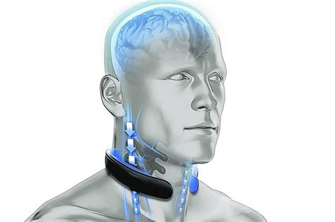 Neck band made to protect the brain