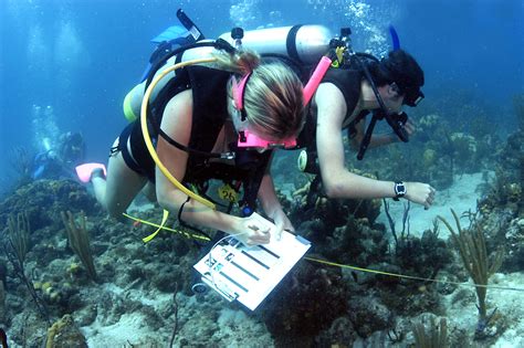 How to Become a Marine Biologist - Brian N. Tissot