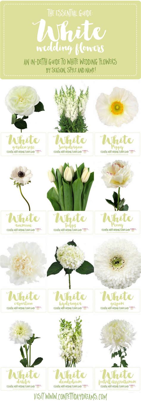 White Wedding Flowers Guide: Types of White Flowers, Names + Pics