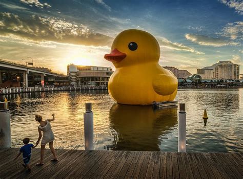 Pin by Carolyn Wirth on Fantastic Beasts | Rubber duck, Installation ...