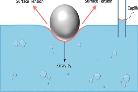 Surface Tension Formula: Calculation, Solved Examples