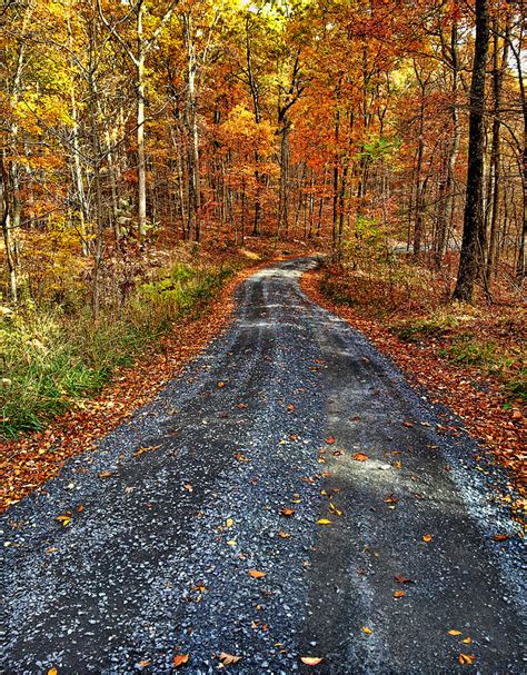 Country Super Highway Photograph by Lara Ellis - Fine Art America