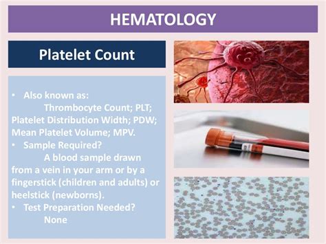 HEMATOLOGY: Laboratory Tests