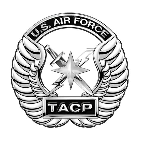 Air Force Beret Badge: Tactical Air Control Party: TACP | ubicaciondepersonas.cdmx.gob.mx