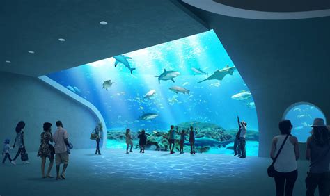 Mote Marine breaks ground on science education aquarium at Nathan ...