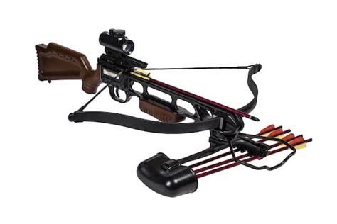 Crossbow vs Compound Bow: Which is Best for You?