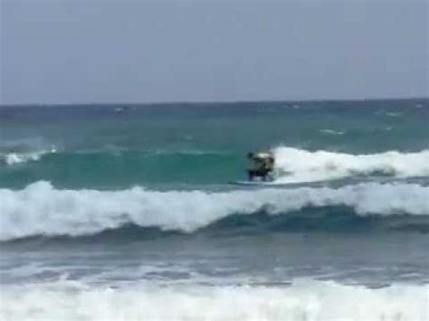 DOG BOARD SURFING HAMOA BEACH, in HANA, MAUI - YouTube