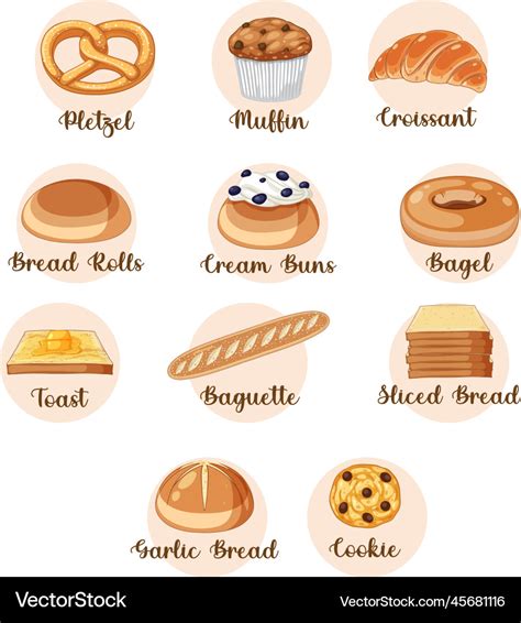 Different types of bread with name Royalty Free Vector Image