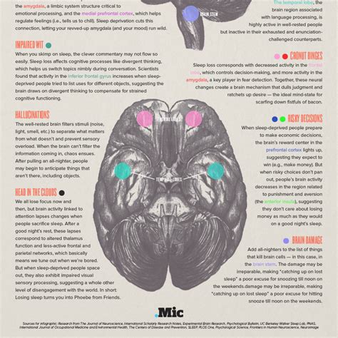 What Sleep Deprivation Does to Your Brain, in One Stunning Infographic | Sleep deprivation, Your ...